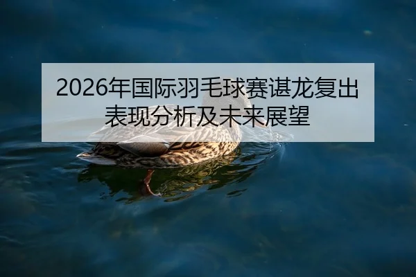 2026年国际羽毛球赛谌龙复出表现分析及未来展望