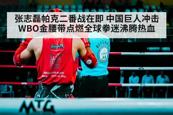 张志磊帕克二番战在即 中国巨人冲击WBO金腰带点燃全球拳迷沸腾热血